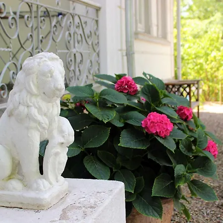 Sanssouci Muschelbank Apartment Binz